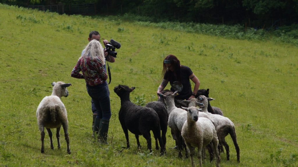 From Sheep to Chic Feature The Natural Fibre Company