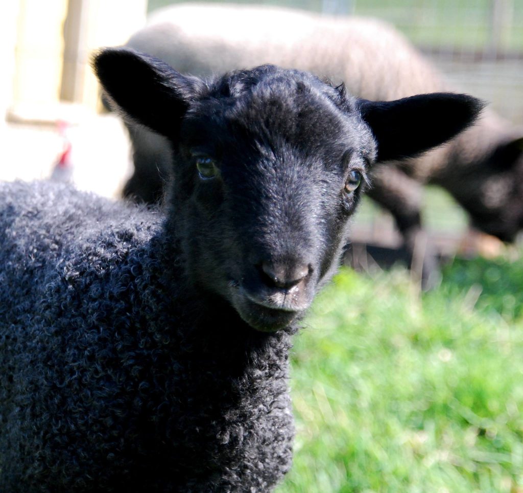 Easter Closure and New Four Day Week Operating Schedule Announced The Natural Fibre Company